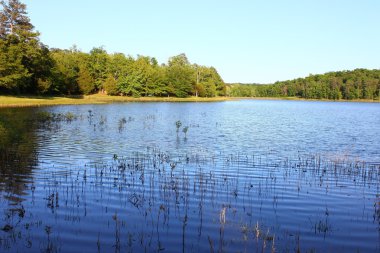 Tishomingo'ya state park - mississippi