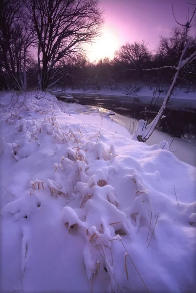 Fresh snowfall in Illinois — Stock Photo, Image