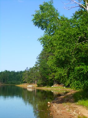 Buffalo Gölü - northwoods wisconsin