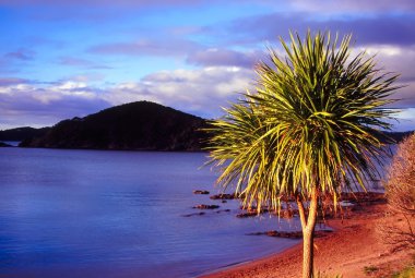 Bay of Islands - New Zealand clipart
