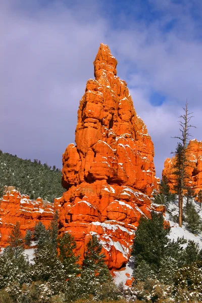 Canyon Rosso nella foresta nazionale di Dixie — Foto Stock