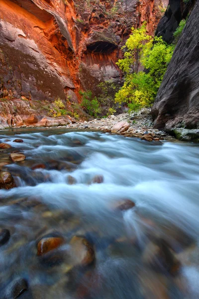 Zion national park — Stok fotoğraf