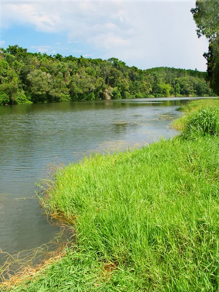 Rio Barron em Queensland, Austrália — Fotografia de Stock