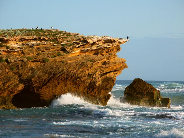 Costa rochosa em Victoria, Austrália — Fotografia de Stock