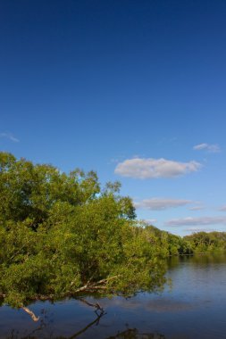 Rock state park - Illinois kesti.