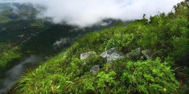 Saint lucia sayfasından petit piton