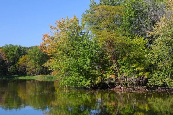 stock image Pecatonica Wetlands - Illinois