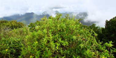 Saint lucia sayfasından petit piton