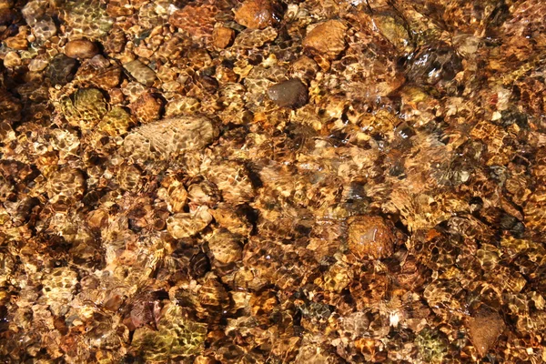 Creek Riffle background — Stock Photo, Image