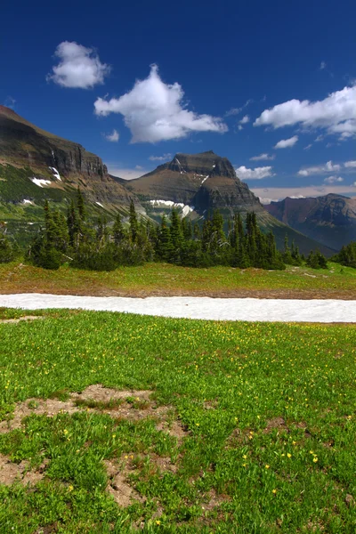 Landschap van nationaal park van de gletsjer — Stockfoto