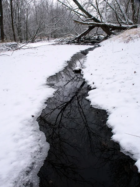 Kış akışı sahne Illinois — Stok fotoğraf