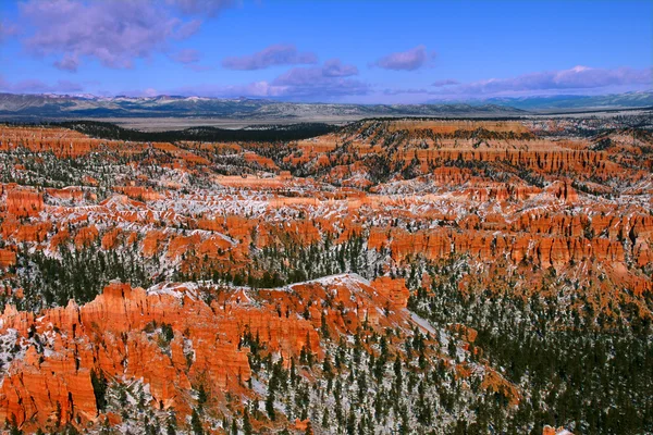 Bryce Canyon - Utah — Stock Photo, Image
