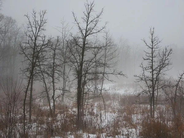 Giorno nebbioso nell'Illinois settentrionale — Foto Stock