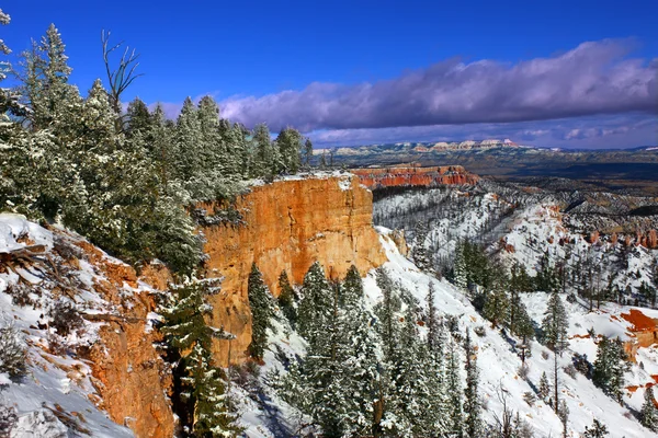 Snowfall in Bryce Canyon — Stock Photo, Image