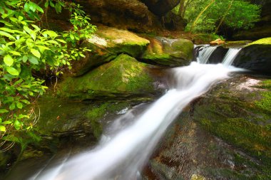 alt caney creek düşüyor - alabama