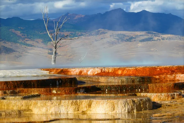 Canary Spring of Yellowstone Park — Stock Photo, Image