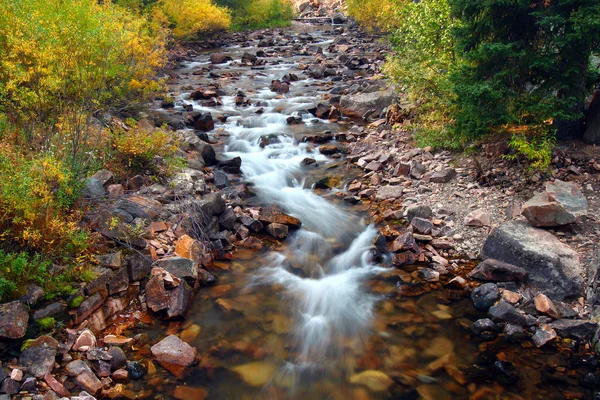 stock image Beautiful Montana Stream Scene