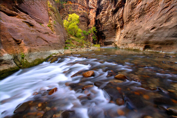 Узкие Сионские каньоны
