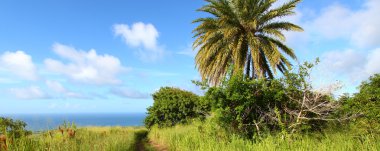 Saint Kitts Landscape clipart