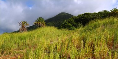 Mount liamuiga, saint kitts