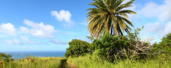 Saint Kitts Landscape — Stock Photo, Image