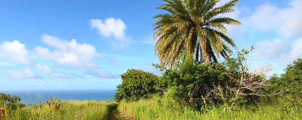 stock image Saint Kitts Landscape