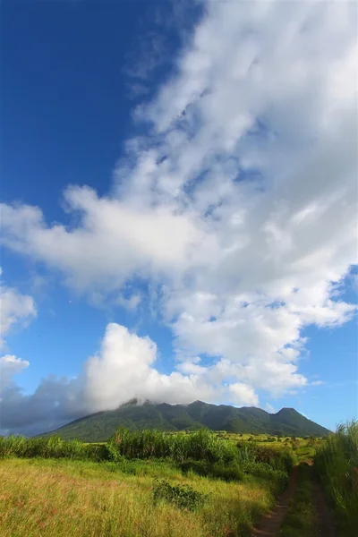 Mount Liamuiga in Saint Kitts — Stock Photo, Image
