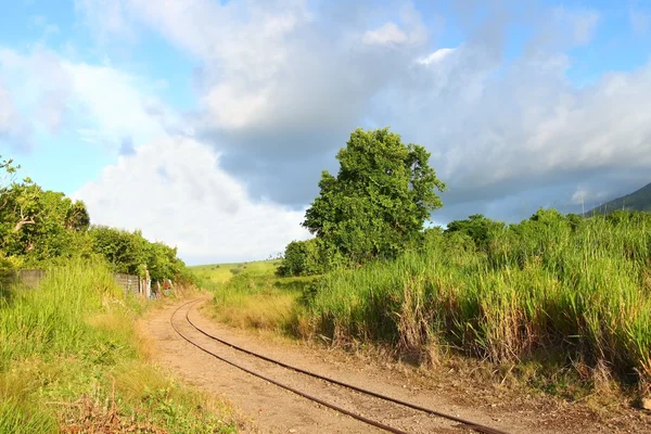 Cane train track - St Kitts — Stock Photo, Image