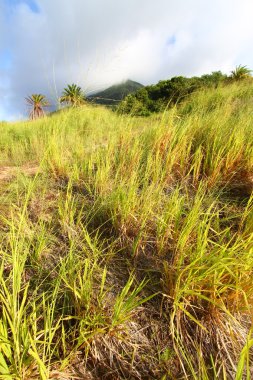 Mount Liamuiga in Saint Kitts clipart