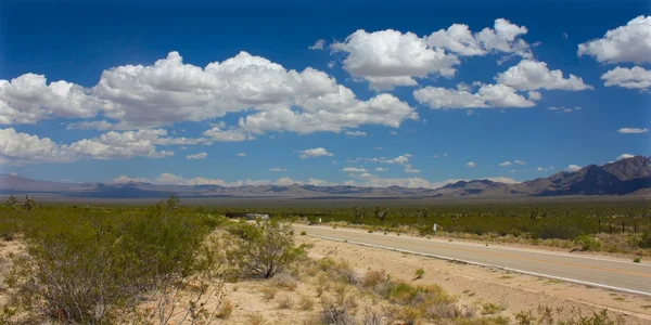 Mojave sivatag - Dél-Kaliforniában — Stock Fotó