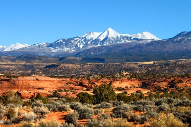 Monti la sal Ulusal Ormanı, utah