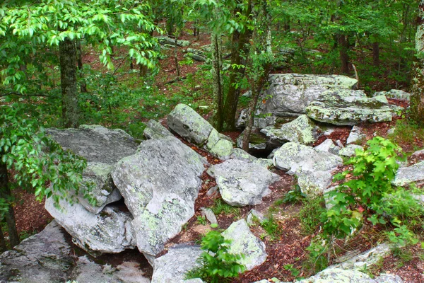 Cheaha 州立公園 - アラバマ — ストック写真