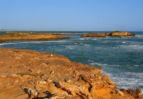 Скелястий берег в Вікторія, Австралія — стокове фото