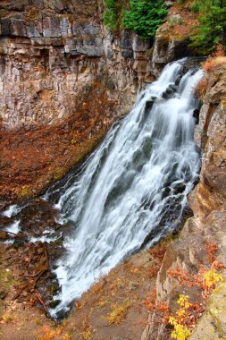 rustik yellowstone düşüyor