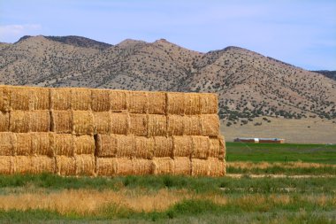 Hay bales in Rural Idaho clipart