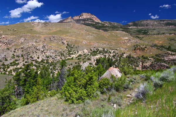 Rugged Mountain Scenery of Wyoming — Stock Photo, Image