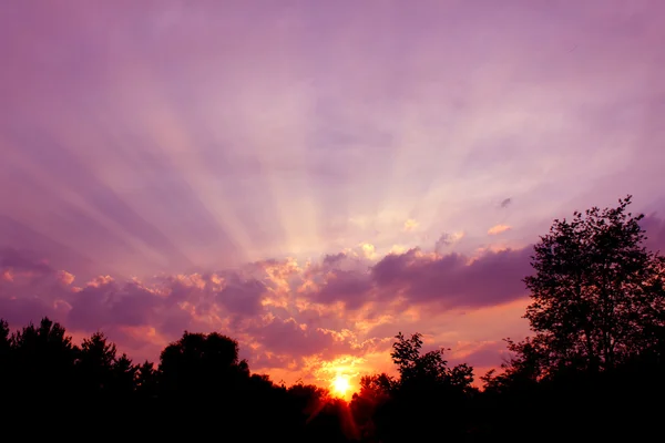 일리노이 있는 햇빛의 광선 — 스톡 사진