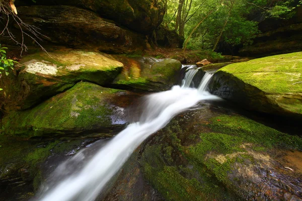Caney Creek Falls - Alabama — Zdjęcie stockowe
