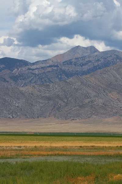Mountains Beyond Idaho Farmland — Zdjęcie stockowe
