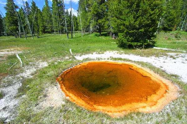 Upper geyser basin i yellowstone — Stockfoto