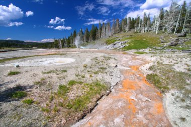 Grand Geyser Yellowstone National Park clipart