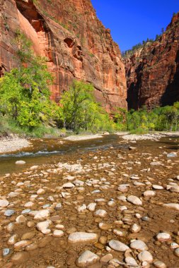 Virgin River Zion National Park