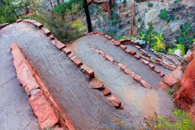 Zion canyon zikzaklı iz