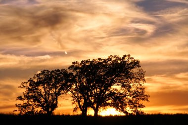 Jarrett prairie doğa günbatımı korumak