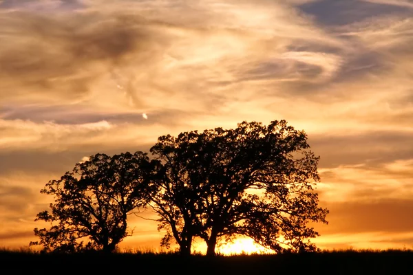 Jarrett Prairie Nature Preserve Sunset — Stock Photo, Image