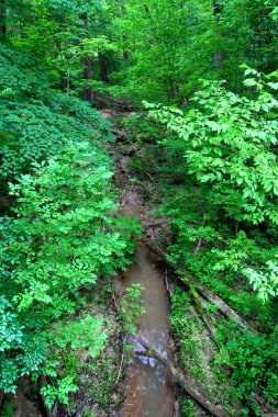 Mississippi palisades park devlet