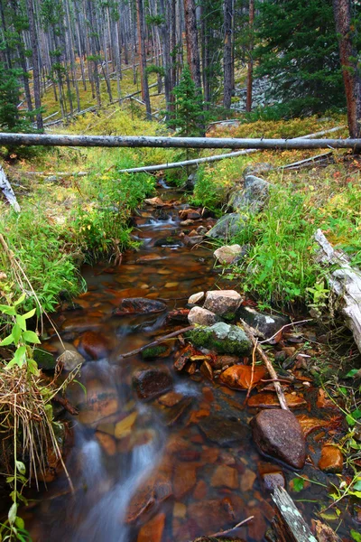 Krásný potok montana — Stock fotografie