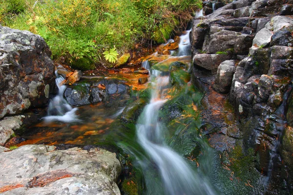 Cascata del torrente Foresta Nazionale — Foto Stock