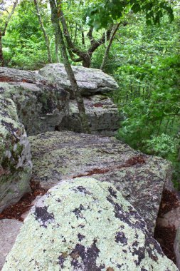 Cheaha State Park - Alabama