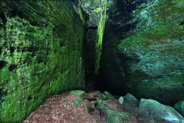 Mossy fondo de roca — Foto de Stock